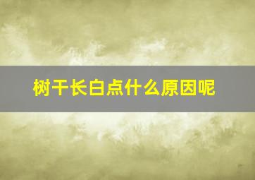 树干长白点什么原因呢