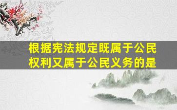 根据宪法规定既属于公民权利又属于公民义务的是