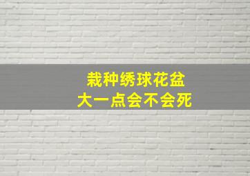 栽种绣球花盆大一点会不会死