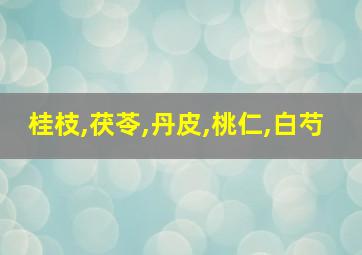 桂枝,茯苓,丹皮,桃仁,白芍