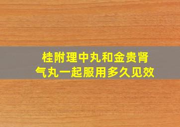 桂附理中丸和金贵肾气丸一起服用多久见效