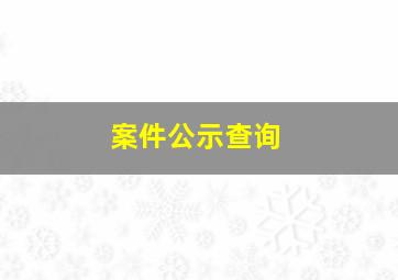 案件公示查询