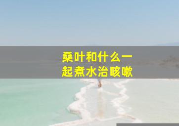 桑叶和什么一起煮水治咳嗽