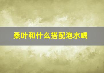 桑叶和什么搭配泡水喝