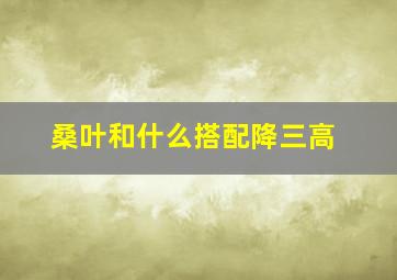 桑叶和什么搭配降三高