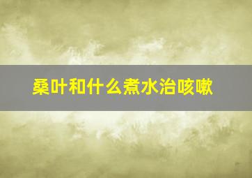 桑叶和什么煮水治咳嗽