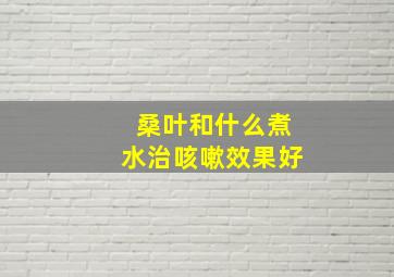 桑叶和什么煮水治咳嗽效果好