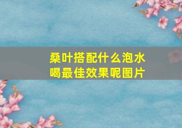 桑叶搭配什么泡水喝最佳效果呢图片