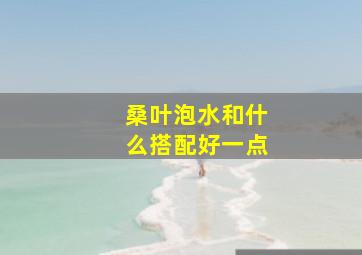 桑叶泡水和什么搭配好一点