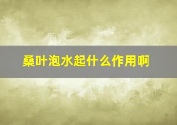 桑叶泡水起什么作用啊