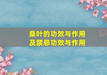 桑叶的功效与作用及禁忌功效与作用