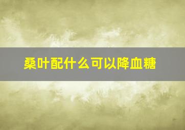 桑叶配什么可以降血糖