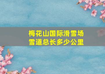 梅花山国际滑雪场雪道总长多少公里