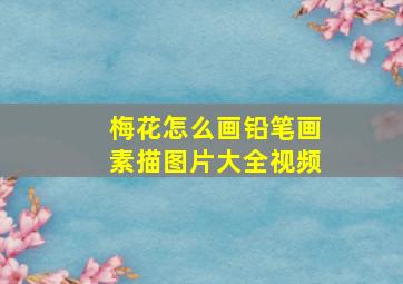 梅花怎么画铅笔画素描图片大全视频