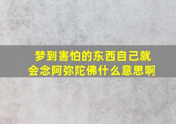 梦到害怕的东西自己就会念阿弥陀佛什么意思啊