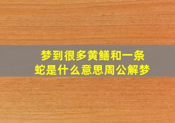 梦到很多黄鳝和一条蛇是什么意思周公解梦