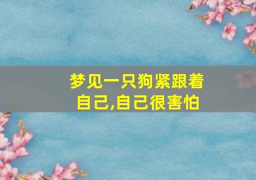 梦见一只狗紧跟着自己,自己很害怕