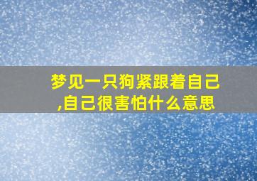 梦见一只狗紧跟着自己,自己很害怕什么意思