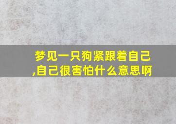 梦见一只狗紧跟着自己,自己很害怕什么意思啊