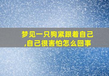 梦见一只狗紧跟着自己,自己很害怕怎么回事