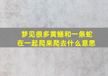 梦见很多黄鳝和一条蛇在一起爬来爬去什么意思