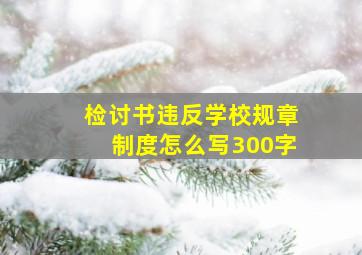 检讨书违反学校规章制度怎么写300字