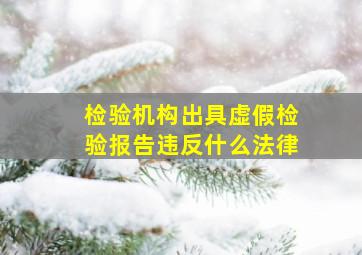 检验机构出具虚假检验报告违反什么法律