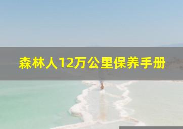 森林人12万公里保养手册