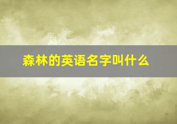 森林的英语名字叫什么