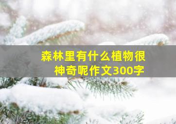 森林里有什么植物很神奇呢作文300字