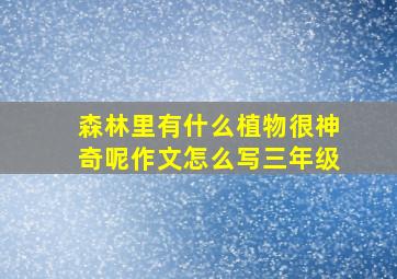 森林里有什么植物很神奇呢作文怎么写三年级