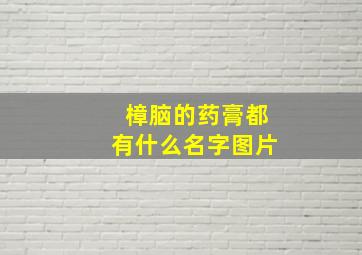 樟脑的药膏都有什么名字图片