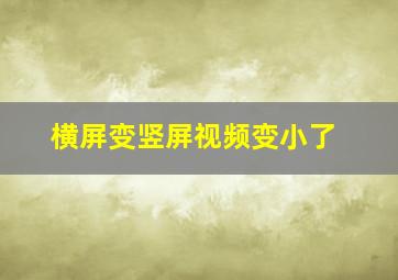 横屏变竖屏视频变小了