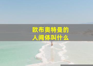 欧布奥特曼的人间体叫什么