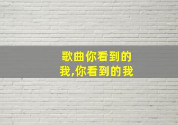 歌曲你看到的我,你看到的我