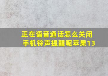 正在语音通话怎么关闭手机铃声提醒呢苹果13