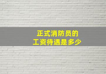 正式消防员的工资待遇是多少