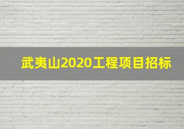 武夷山2020工程项目招标