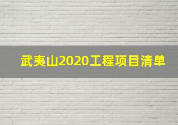 武夷山2020工程项目清单