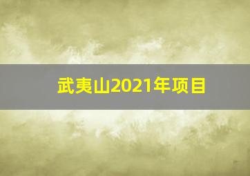 武夷山2021年项目