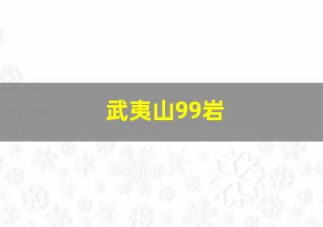 武夷山99岩