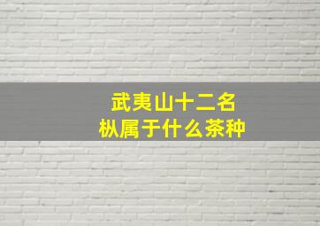 武夷山十二名枞属于什么茶种