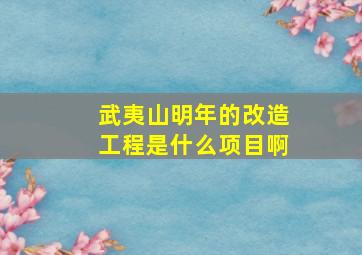 武夷山明年的改造工程是什么项目啊