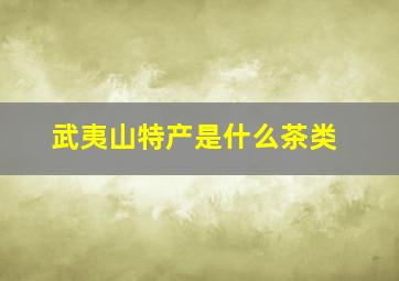 武夷山特产是什么茶类