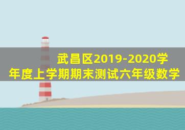 武昌区2019-2020学年度上学期期末测试六年级数学