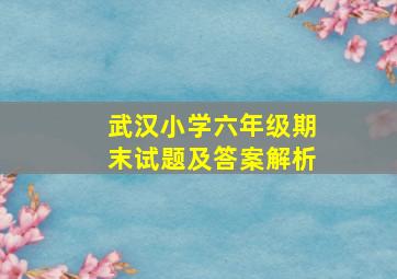 武汉小学六年级期末试题及答案解析