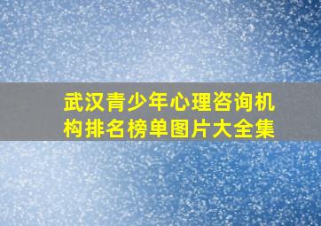 武汉青少年心理咨询机构排名榜单图片大全集