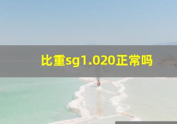 比重sg1.020正常吗