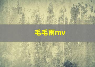 毛毛雨mv