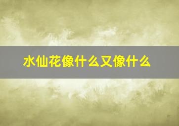 水仙花像什么又像什么